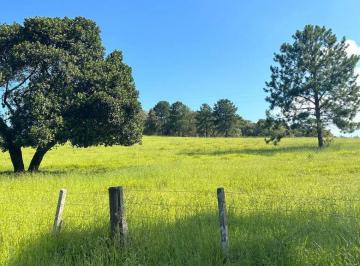Terreno , Ibiúna · Condomínio de Chácaras em Ibiúna | Lotes de 1630m² com Infraestrutura