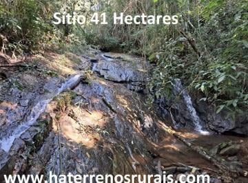 Rural , Bom Jardim de Minas · Sítio 41 Hectares