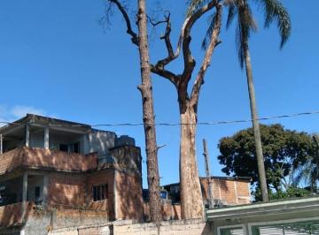 FOTODASARVORES.jpg · Terreno para Aluguel em São Paulo/SP - 1 Dorm. 155 m2 Área Útil