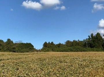 Terreno , Mairinque · Implantação valorizada em Mairinque | Lotes planos com excelente conformação topográfica