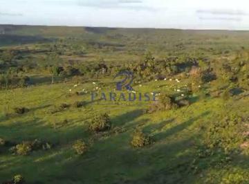 Rural · 196m² · 10 Vagas · Fazenda, Subauma, Entre Rios - R$ 5 mi, Cod: 68989