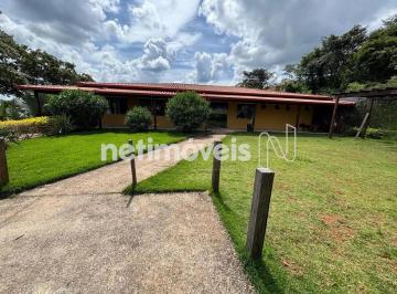 c4dcb330-15f7-4a9b-8e91-1d3f8a946c8c.webp ·  à Venda, Tropical, Contagem