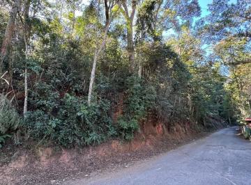 Terreno · 1845m² · Terreno em aclive, medindo no todo aproximadamente 1.845m²- Parque Dom João V...
