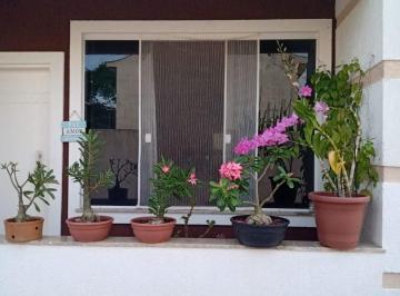 Casa · 58m² · 2 Quartos · Casa com 2 dormitórios à venda, 58 m² por R$ 250.000,00 - Residencial Rio Das...