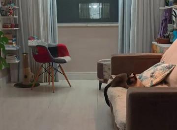 Apartamento à venda no RECANTO DOS GUARÁS, INÁCIO BARBOSA, Aracaju, SE · Apartamento à venda no RECANTO DOS GUARÁS, INÁCIO BARBOSA, Aracaju, SE