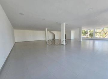 Comercial · 365m² · 6 Vagas · Sala Comercial para alugar em Jardim Petrópolis de 365.00m² com 6 Garagens