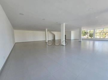 Comercial · 365m² · 6 Vagas · Sala Comercial para alugar em Jardim Petrópolis de 365.00m² com 6 Garagens