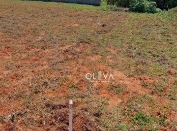 Terreno · 360m² · Terreno para venda em Vila Clementina de 360.00m²