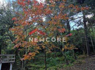 Sítio em Estrada das Lagoas - Samambaia - São Francisco de Paula/RS
Oportunidad · Sítio em Estrada das Lagoas - Samambaia - São Francisco de Paula/RS