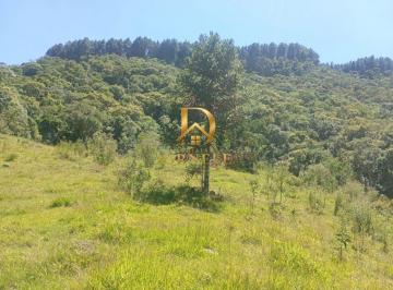 nkeaw9c2ytbmnzblmjg3zdzk_md · Excelente terreno rural em Anitápolis/SC, 9 hectares, água e ótimo acesso.