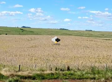 Rural · 485ha · Fazenda a Venda em Alegrete 78% para Lavoura