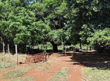 Imagem 1 · Sítio para venda em Centro, Araxá