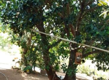 Rural de 3 quartos, Padre Bernardo · Ótima chácara para quem busca tranquilidade em Padre Bernardo
