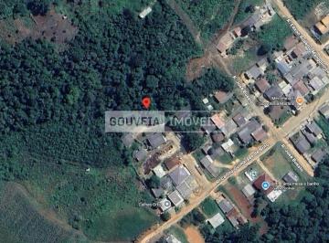 Terreno · 390m² · Terreno, 390M², à Venda por R$ 100.000,00 - Mato Dentro, Almirante Tamandaré (Pr)