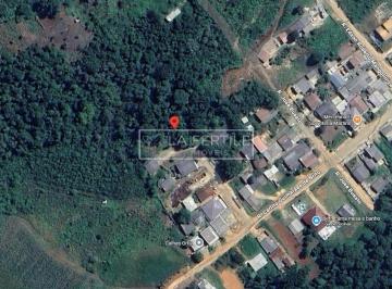 Terreno · 390m² · Terreno, 390M², à Venda por R$ 100.000,00 - Mato Dentro, Almirante Tamandaré (Pr)