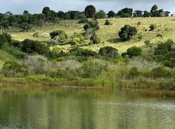 Rural · FAZENDA Á VENDA COM 217 HECTARES EM FEIRA DE SANTA