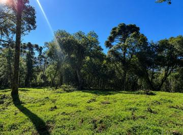 Rural , Urubici · Terreno de 2 hectares em Urubici