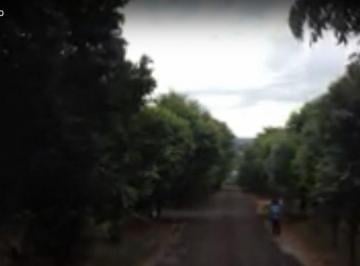 7509115250.jpg · MARAVILHOSA CHACARA 3MIL M2 - IGUATEMIAO LADO DA TOCA DO CARDOSOPROPRIETARIO ACEITA VENDER PARCIALCA