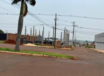 7834215250.jpg · Galpao Comercial em fase de construção, na Avenida Mandacaru, entrada do Jardim MuniqueVigamento 25 