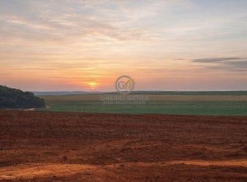 Infraestrutura completa para pecuária de corte, com currais robustos e divisão de pastos integrada. · Fazenda à Venda em Frutal - MG | 462 Alqueires e Renda