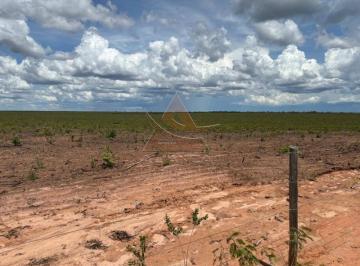 Imagem 1 · Fazenda