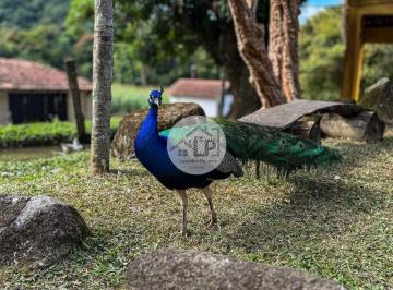 Imagem 1 · Fazenda
