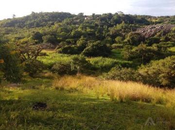 Rural · OPORTUNIDADE COM 30 HECTARES! 