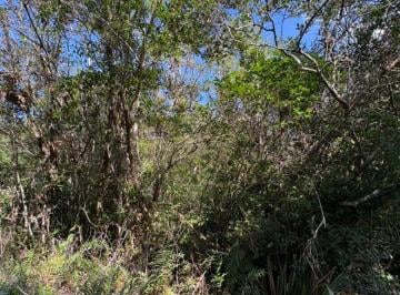 Rural , Itanhaém · Terreno de Chácara para Venda, Itanhaém / SP bairro Indaiá, área total 5.222,22 m²
