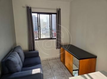 Apartamento · 26m² · 1 Quarto · 1 Vaga · APARTAMENTO EM MIRANDÓPOLIS  | 1 DORMITÓRIO  | 26M²  | 1 VAGA E PISCINA