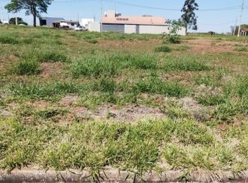7866315250.jpg · TERRENO IGUARAÇU - 260,63M2 - EXCELENTE LOCALIZAÇÃOACEITA VEÍCULO ATÉ 50% DO VALOR DO TERRENOFone: (