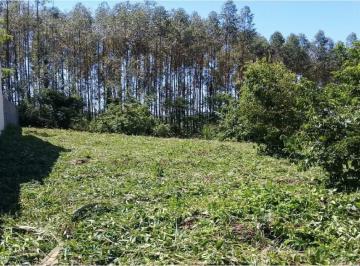 7752715250.jpg · EXCELENTE TERRENO - CONDOMINIO BARRA DO MOURAOTERRENO COM 1240M2 -AGENDE SUA VISITA!IMOBILIÁRIA MORA