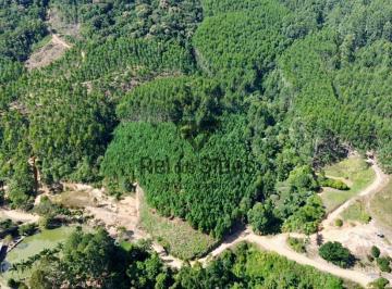 Rural · 259000m² · Terreno para Sítio Sem Benfeitorias