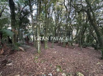 Terreno · 620m² · Terreno à venda no Condomínio Lagos de Gramado — Centro de Gramado
