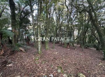 Terreno · 620m² · Terreno à venda no Condomínio Lagos de Gramado — Centro de Gramado