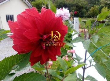 usgelto2ytq3yjkymwuwyzhh_md · Lindo sítio completo com casa riacho pomar e escritura em Rancho Queimado