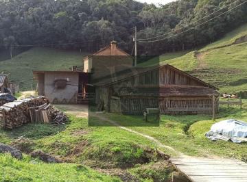 lkuf2u02owvjyje0zmu0zjy0_md · Sítio em Angelina com Casa, galpão, terra de plantio e criação de gado