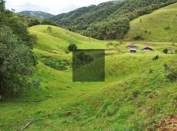 q8zajhy2owvlmdzhmgvjmtbm_md · Área 74 hectares em Angelina com potencial para condomínio e ampla área de pasto