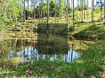 j9s0ww2owvkzmuwmtm4nmq1_md · Sítio 14 hectares no centro de Anitápolis com açudes riacho energia e pasto