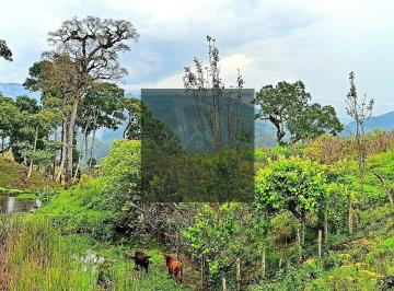 745pul42owvkzmy2odrmnjzj_md · Sítio 23 hectares em Anitápolis com vista serra água energia e potencial pousada