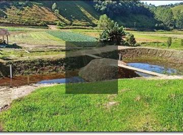 jqip5ng2owvkmdy1otc2mdg4_md · Sítio 5,9 hectares em Angelina com riacho lavoura fibra e casa 3 quartos
