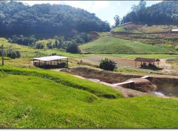 agsc003-1 · Sítio 5,9 hectares em Angelina com riacho lavoura fibra e casa 3 quartos