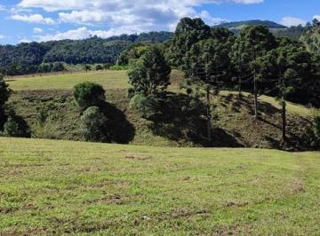 rqat003-1 · Sítio 3 hectares nascente lagoa vista próximo asfalto escritura Rancho Queimado