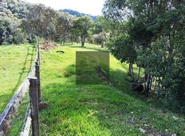 tmyddmi2owvlmtrhngm1njfi_md · Chácara 6.500 m² em Rancho Queimado com açude nascente fibra e acesso