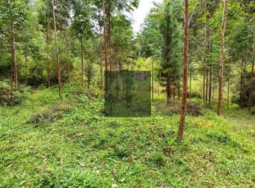 cksbiqo2owvlmtm4nmrkoda4_md · Área 75 hectares em Anitápolis com nascentes e ideal para formar sítio