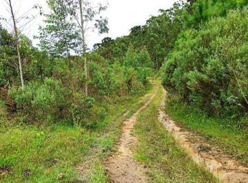 anat007-1 · Área 75 hectares em Anitápolis com nascentes e ideal para formar sítio