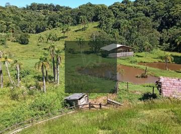 0p8psoy2owvlmja4mwvhnwy2_md · Sítio 5,5 hectares em Anitápolis com casa pasto riachos açude e animais
