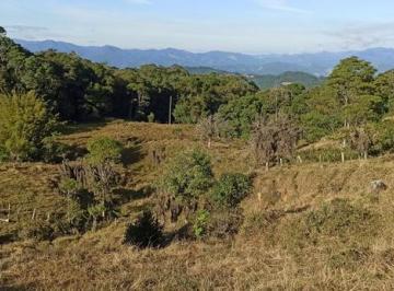 amat002-1 · Sítio 20 hectares em Águas Mornas com nascentes pasto e próximo ao asfalto