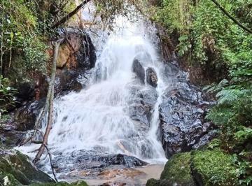 agat003-1 · Sítio 25 hectares em Angelina com cachoeira e ideal para chalés e renda