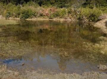 anf002-1 · Área 120 hectares em Anitápolis com rio, nascentes e área plana