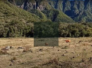 8gfnnaa2owvkmdjhzgqzzdfh_md · Fazenda em Anitápolis com cachoeiras nascentes araucárias e altitude